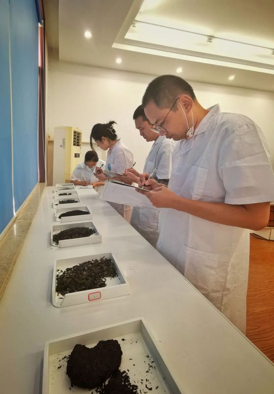 有关于2022年无锡市评茶员职业技能大赛/江苏省首届评茶员职业技能大赛无锡选拨赛 圆满举办的相关内容(8)
