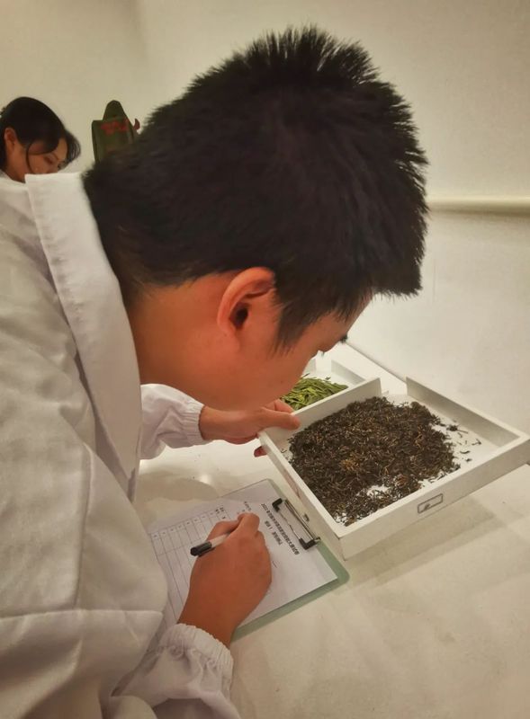 有关于2022年无锡市评茶员职业技能大赛/江苏省首届评茶员职业技能大赛无锡选拨赛 圆满举办的相关内容(9)