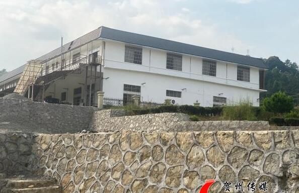 关于昭平县走马镇福行村：茶产业发展驶上“快车道”的相关信息(1)