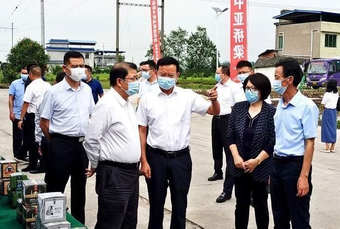 有关于乐山:“中国夹江茶叶”专列再次出发荣耀国际的信息(3)