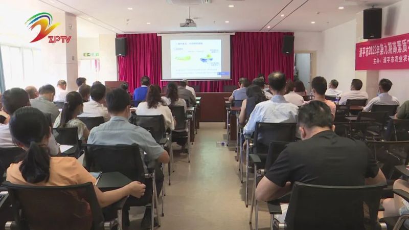 关于连南大叶茶：历史悠久的“绿色宝石”连南大叶茶品鉴会系列报道的信息(3)