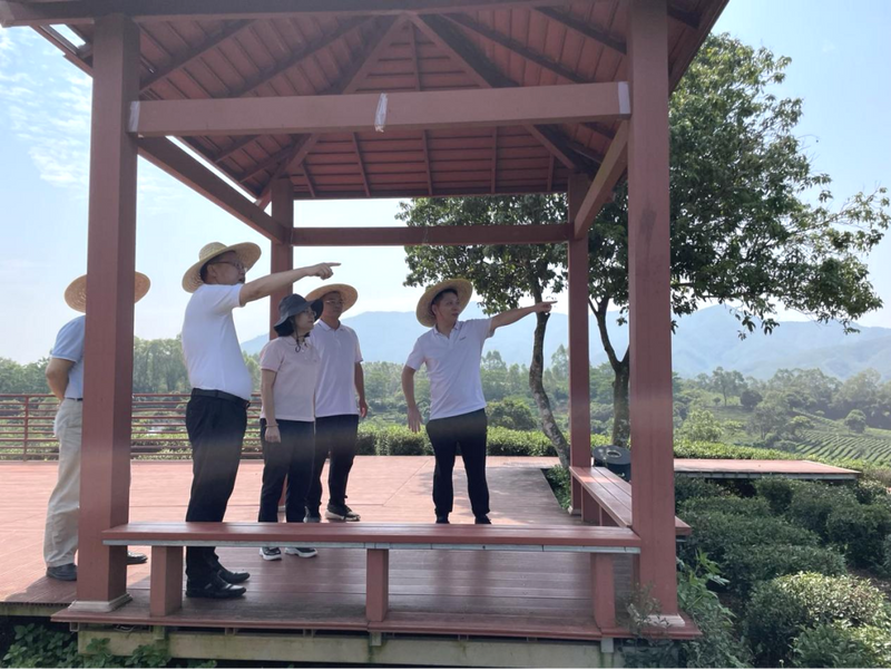关于李俊玲：调研柏塘镇茶叶产业项目的相关信息(1)