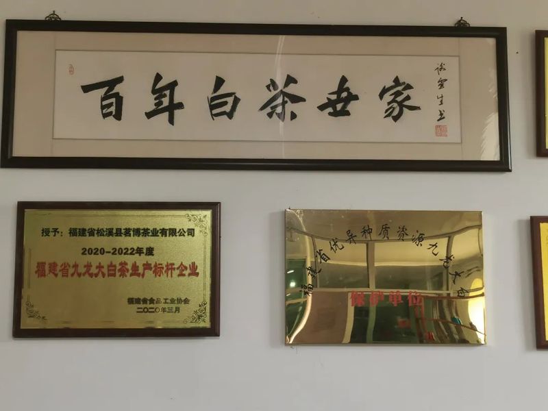 有关于松溪邮储：“贷”动茶产业茁壮成长的相关内容(3)