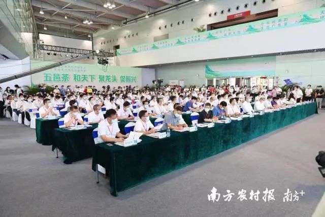 有关于茶叶成茶业,青山变金山 : 广东三农这十年的相关信息(4)