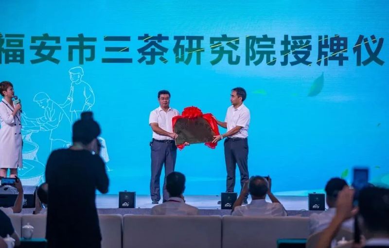 关于政府与企业的“双向奔赴”，给“茶业经济”带来什么？的相关信息(7)