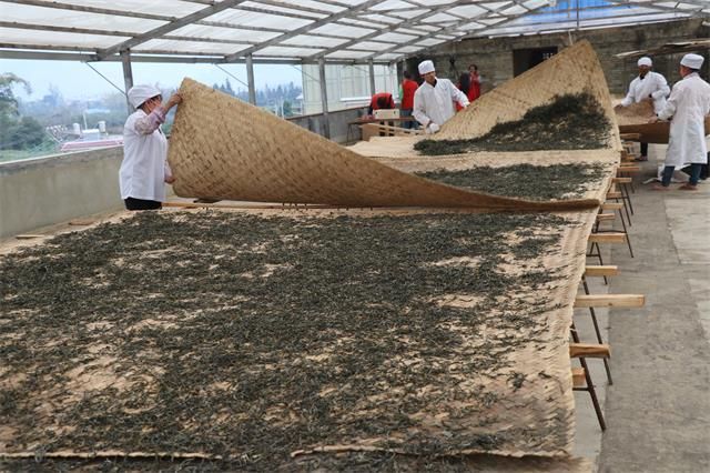 关于一周速读：全国秋茶采摘、陕西“十四五”茶产业发展规划、茶叶中风险物质的消息(5)