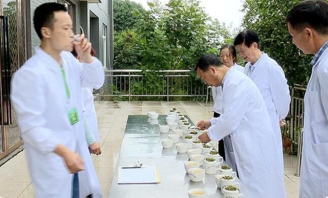 关于竹溪县：茶叶制作职业技能大赛成功举行的相关信息(2)