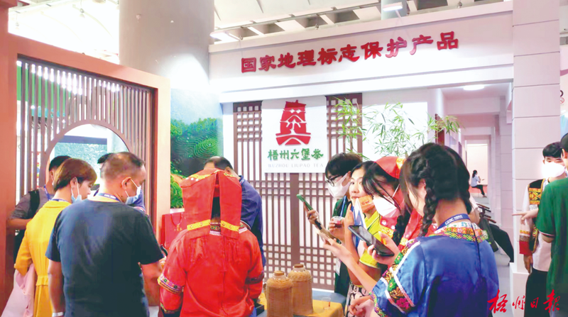 关于“茶船古道·六堡茶发展高峰论坛”成效综述的最新消息