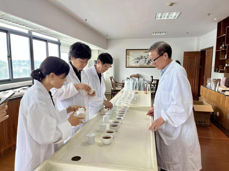 有关于浙江红茶哪家好?第十届“浙茶杯”推选见分晓!的新闻
