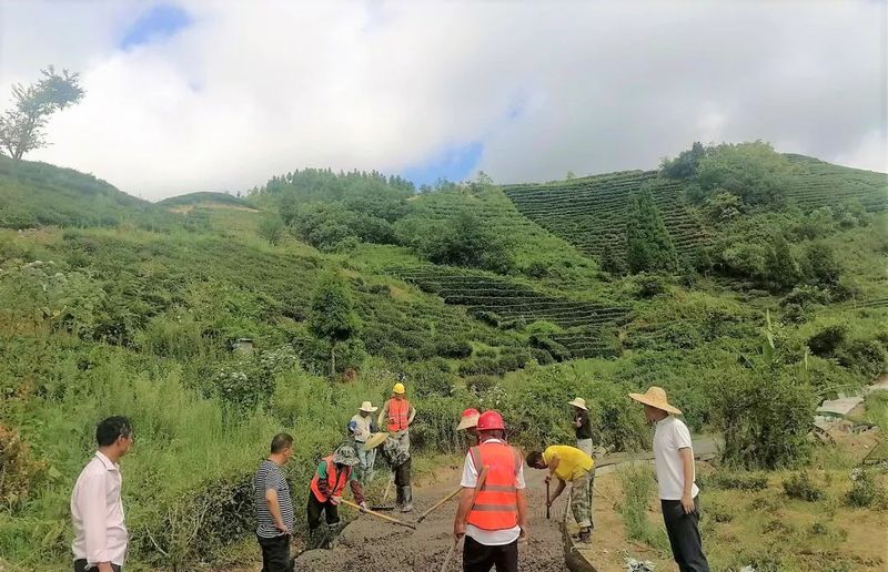 有关于都匀市茶农村:8条茶产业路架起群众增收致富桥的相关信息(5)