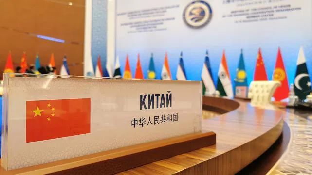 有关于上合元首峰会国宴上的白茶茗香的资讯(1)