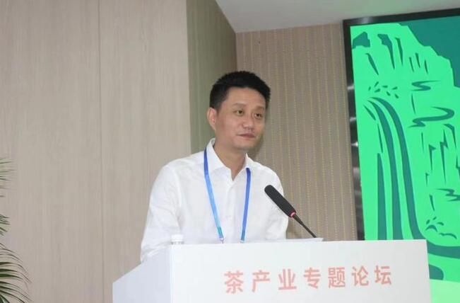 有关于“2022江西智库峰会——庐山院士创新论坛”茶产业分论坛举行的资讯(3)