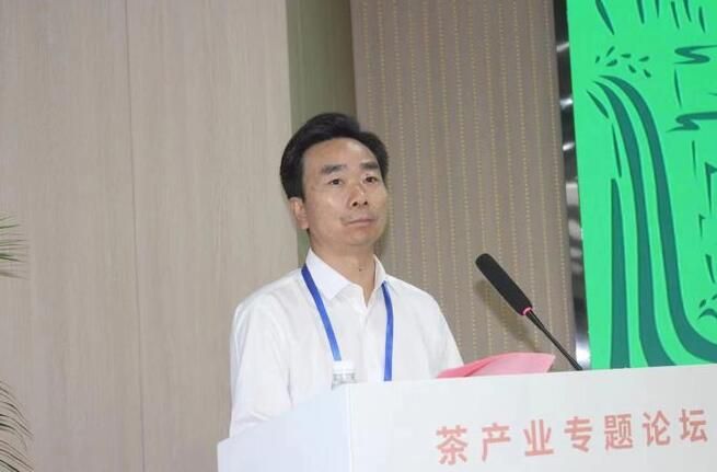 有关于“2022江西智库峰会——庐山院士创新论坛”茶产业分论坛举行的资讯(2)