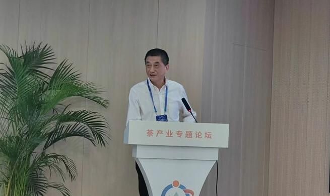 有关于“2022江西智库峰会——庐山院士创新论坛”茶产业分论坛举行的资讯(5)