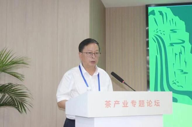 有关于“2022江西智库峰会——庐山院士创新论坛”茶产业分论坛举行的资讯(1)