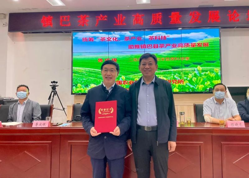 关于专家“把脉问诊”!助推镇巴茶产业高质量发展的消息(3)