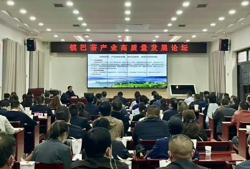 关于专家“把脉问诊”!助推镇巴茶产业高质量发展的消息(2)