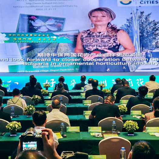 有关于第四届世界茉莉花大会、2022年中国(横州)茉莉花文化节盛大开幕的资讯(8)