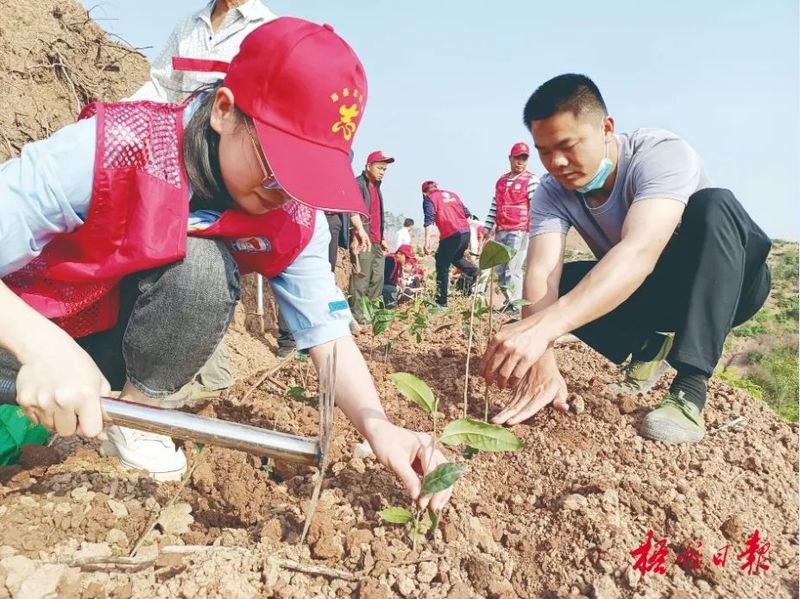 关于品千年名茶韵味 论产业发展前景,“茶船古道·六堡茶发展高峰论坛”将在南宁市举办的消息(4)