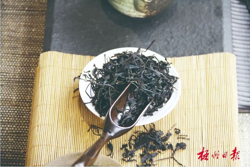 关于品千年名茶韵味 论产业发展前景,“茶船古道·六堡茶发展高峰论坛”将在南宁市举办的消息(3)