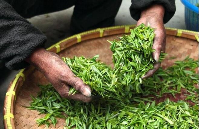 有关于中国茶复兴机遇期 安顺茶产业以品牌破圈突围的资讯