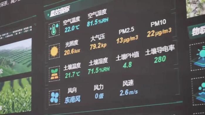 关于勐海工业园区抓项目建设促茶产业创新发展的资讯(4)