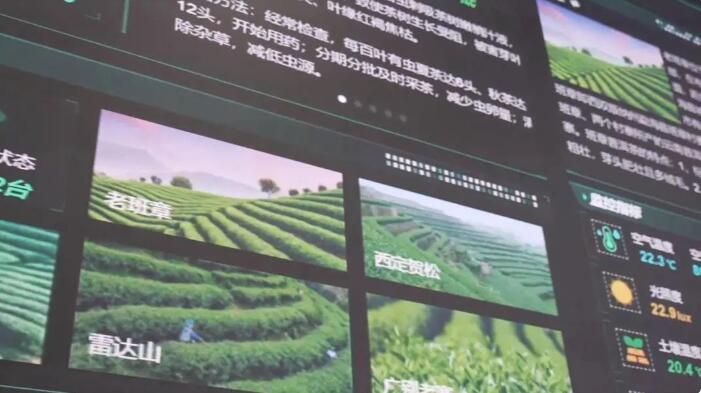 关于勐海工业园区抓项目建设促茶产业创新发展的资讯(5)