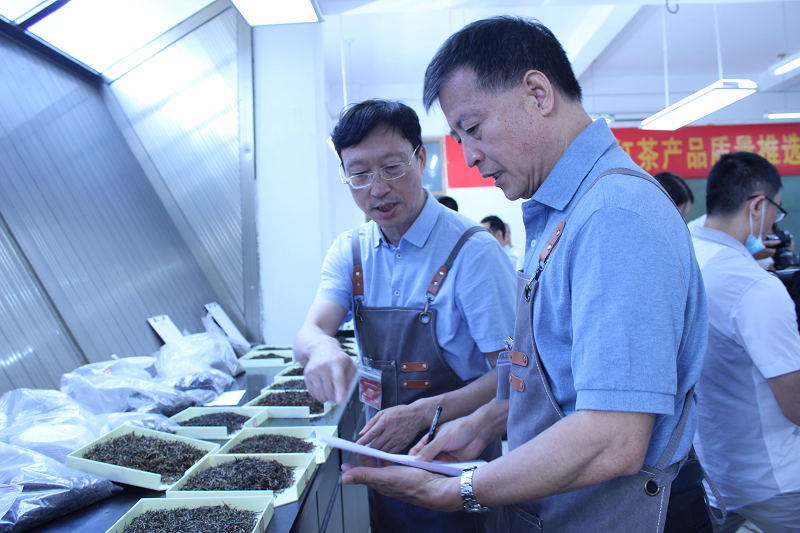 关于第二届世界红茶产品质量推选活动正式拉开帷幕!的最新消息(2)