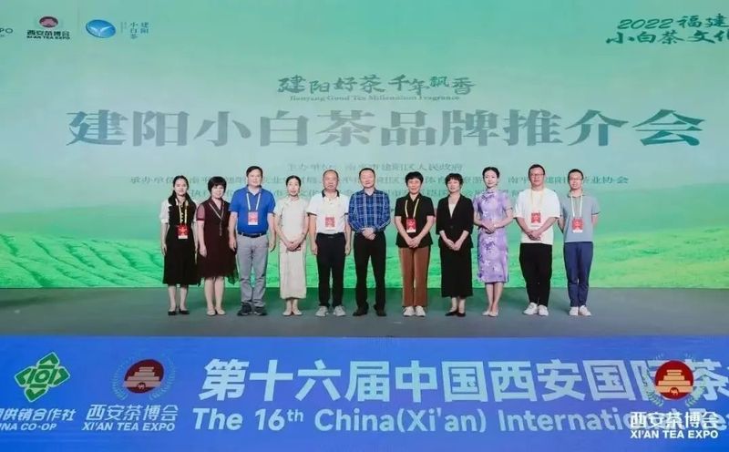 有关于茶产业新时代品牌建设迎来了发展方向标!的相关内容(2)
