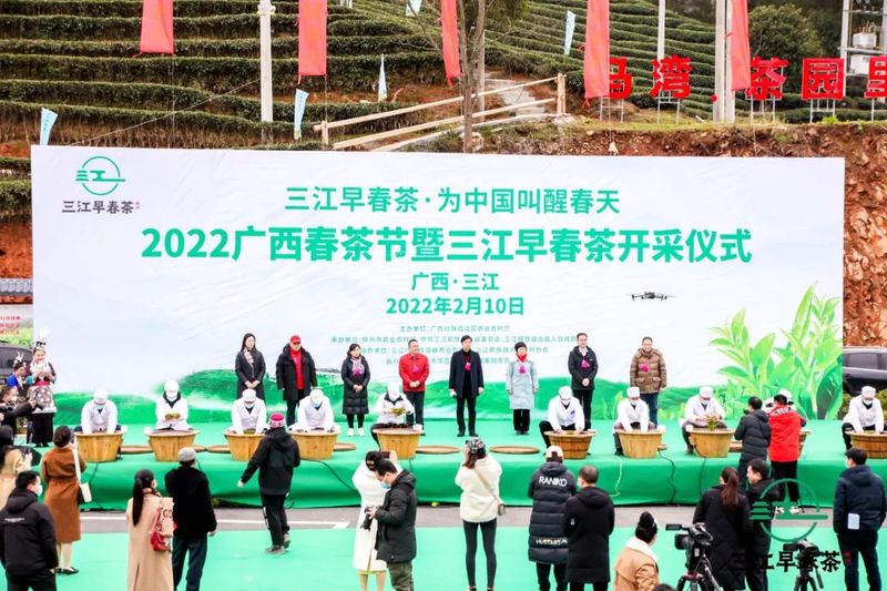 有关于茶产业新时代品牌建设迎来了发展方向标！的相关内容(7)