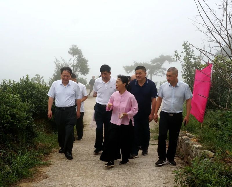 有关于中国国际茶文化研究会赴台州调研“三茶”统筹发展的资讯(7)