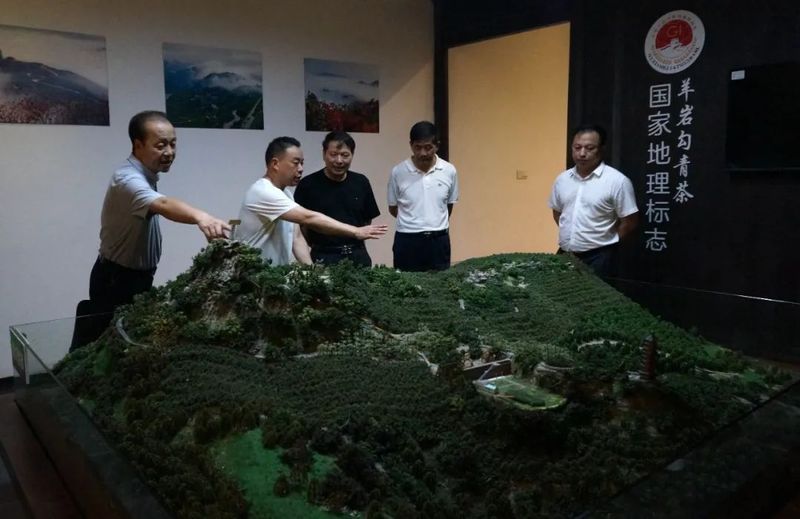 有关于中国国际茶文化研究会赴台州调研“三茶”统筹发展的资讯(3)