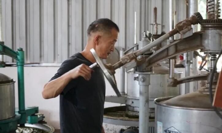 有关于贵州岑巩：“一片小茶叶”撑起亿元大产值的内容(5)