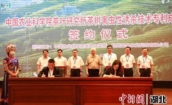 有关于专家客商共聚湖北五峰推广茶树病虫绿色防治的新闻