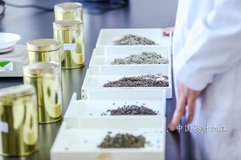 关于8月茶行业资讯汇总的资讯(4)