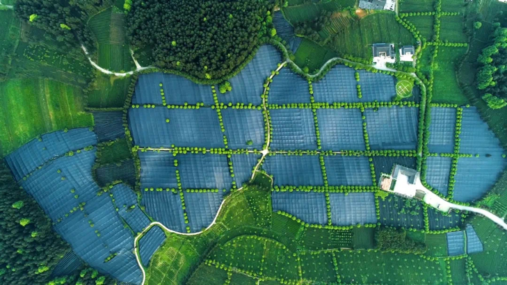 有关于梵净抹茶·香溢天下 2022年梵净抹茶品牌建设通告会在江口举办的消息(1)