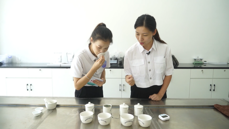 有关于茶产业发展机遇地！这座南方小城凭什么串联起民族茶香？的消息(12)