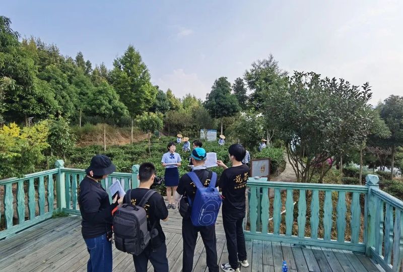 有关于茶产业发展机遇地！这座南方小城凭什么串联起民族茶香？的消息(6)