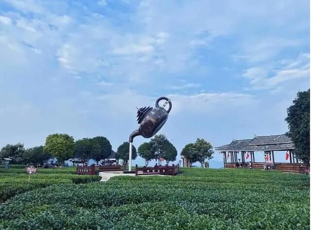 有关于三江县推进茶产业发展,打响三江茶品牌的资讯(4)
