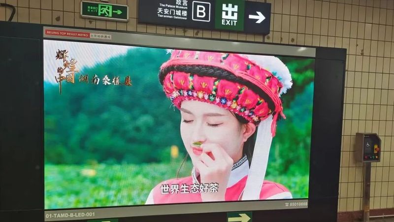 关于一批茶叶公共品牌集中亮相天安门地铁通道的资讯(1)