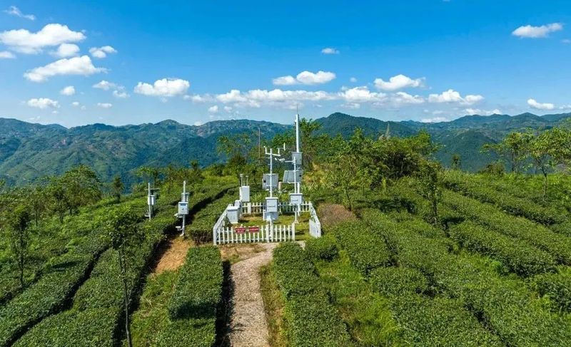 有关于《人民日报》专版聚焦安溪:“三茶”统筹 书写乡村振兴新篇章的消息(7)