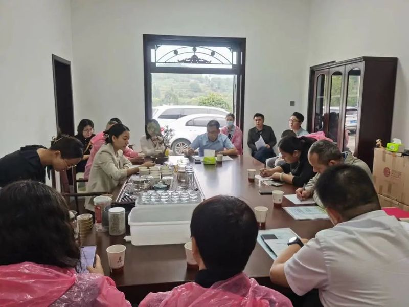有关于湖南省：永定区政协委员齐聚共话莓茶产业发展蓝图的相关内容(2)