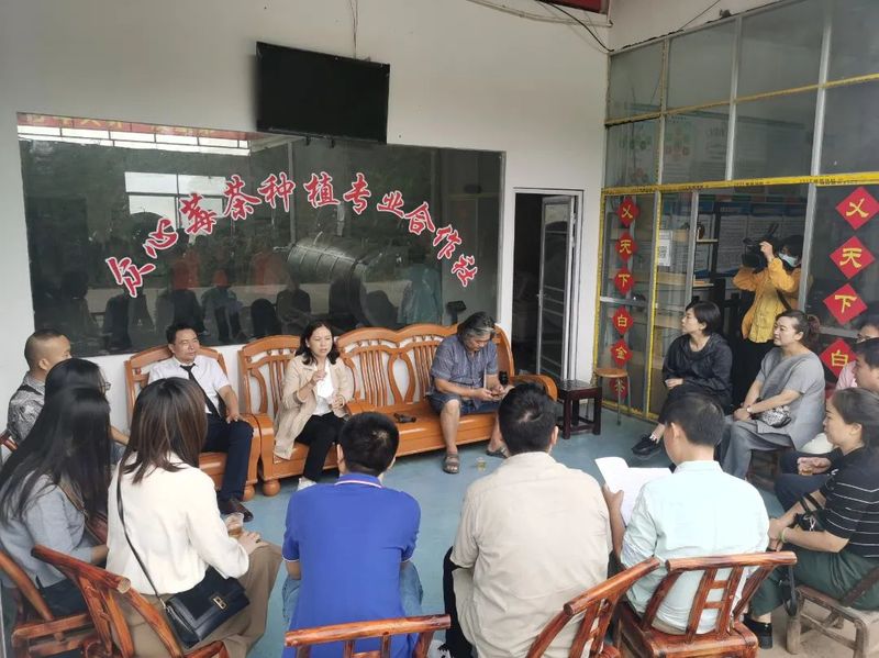 有关于湖南省：永定区政协委员齐聚共话莓茶产业发展蓝图的相关内容(3)