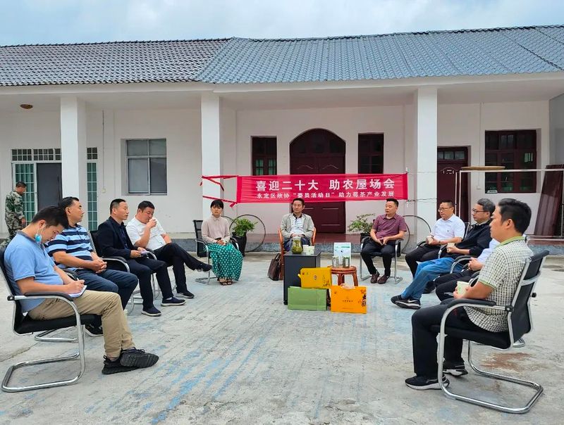 有关于湖南省：永定区政协委员齐聚共话莓茶产业发展蓝图的相关内容(1)