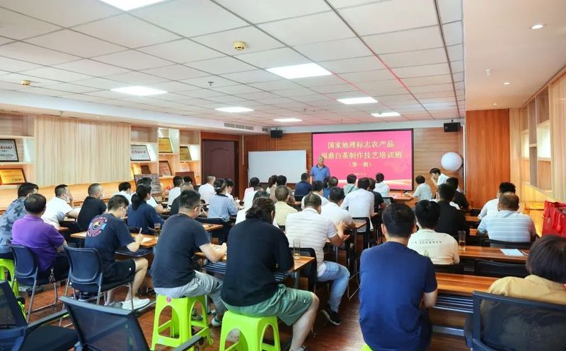 有关于国家地理标志农产品福鼎白茶制作技艺培训班成功举办的内容(10)