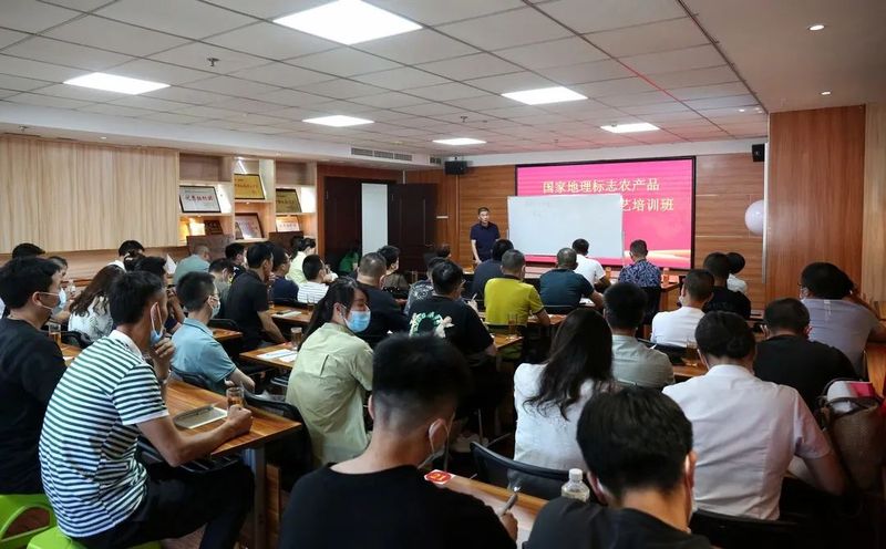 有关于国家地理标志农产品福鼎白茶制作技艺培训班成功举办的内容(13)