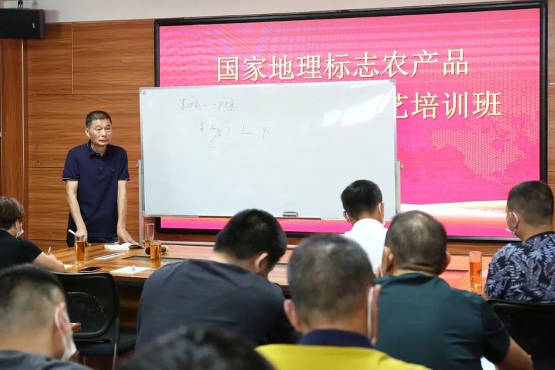 有关于国家地理标志农产品福鼎白茶制作技艺培训班成功举办的内容(5)