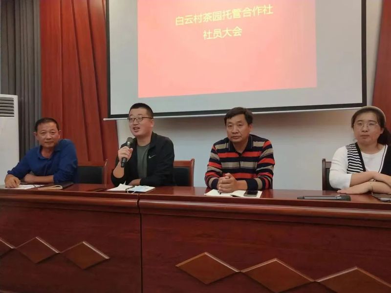有关于高兴镇白云村“茶园托管”助力茶产业高质量发展的相关信息