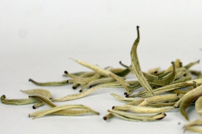 关于重新定义“一杯好白茶”,普洱正在这样做!的消息(6)