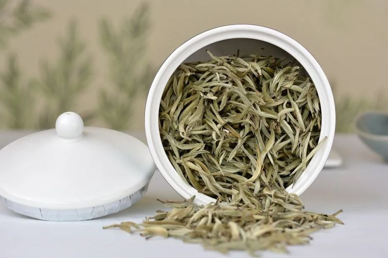 关于重新定义“一杯好白茶”,普洱正在这样做!的消息(4)